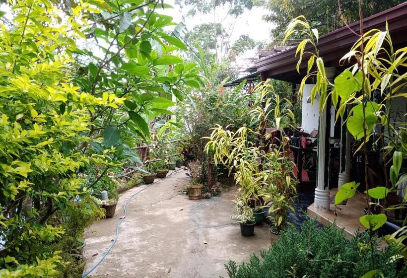 Quarto Deluxe, Littleadems View