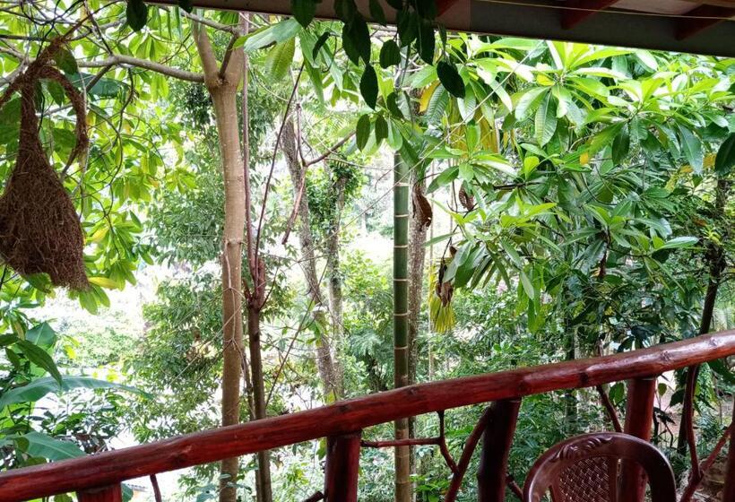 Quarto Deluxe, Littleadems View