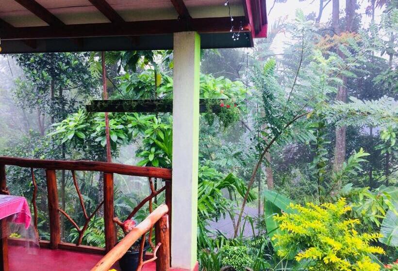 Quarto Triplo Estandar, Littleadems View