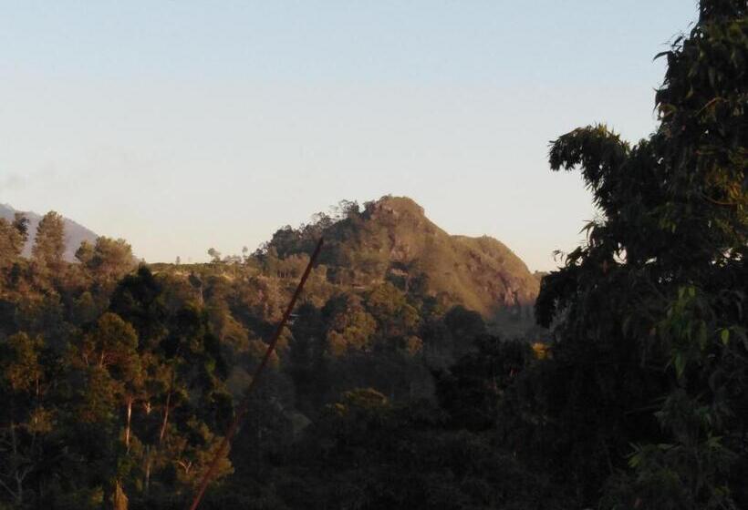 Quarto Deluxe com Sacada, Littleadems View