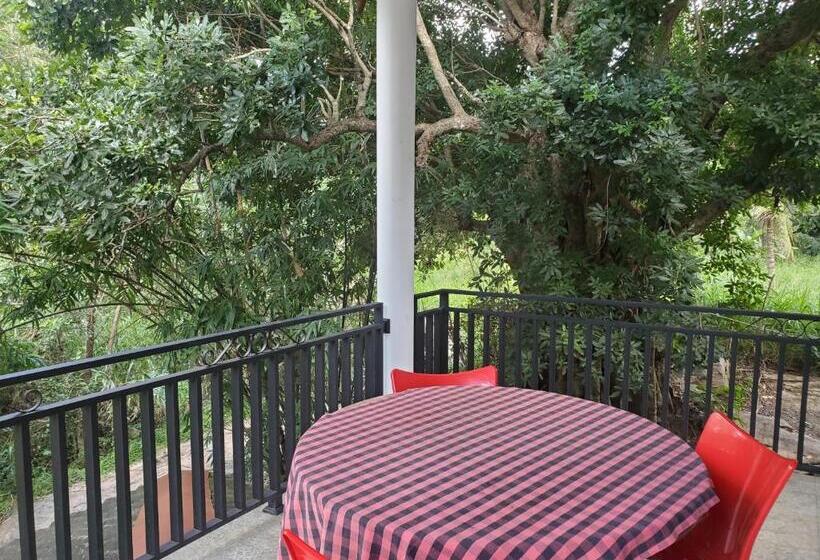 标准间带阳台, Sigiriya River Side Villa