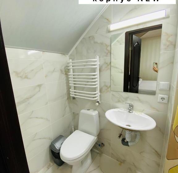 اتاق استاندارد, Pid Yavorom