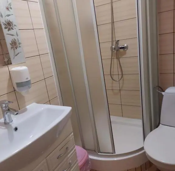 Standard Kolmen Hengen Huone, Urochyshe Vyshnya