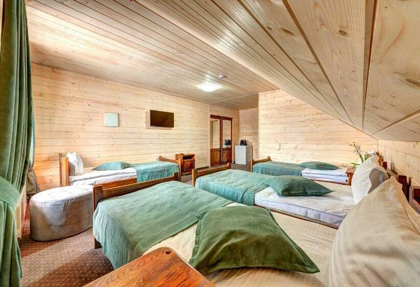 اتاق استاندارد چهار تخته, Podgorie Spa