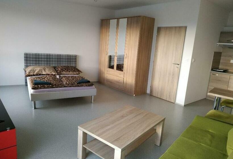 带1个卧室的公寓, Ubytovací Zařízení Koleje Pedagog