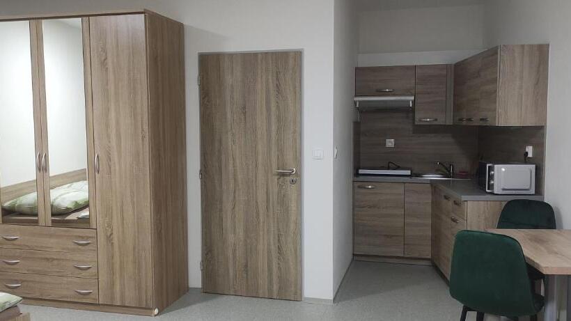 带1个卧室的公寓, Ubytovací Zařízení Koleje Pedagog