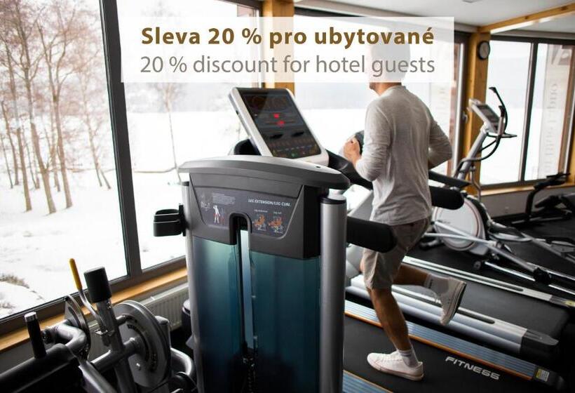 수피리어 룸, Amenity Hotel & Resort Lipno