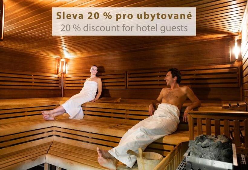 침실 2개 아파트, Amenity Hotel & Resort Lipno