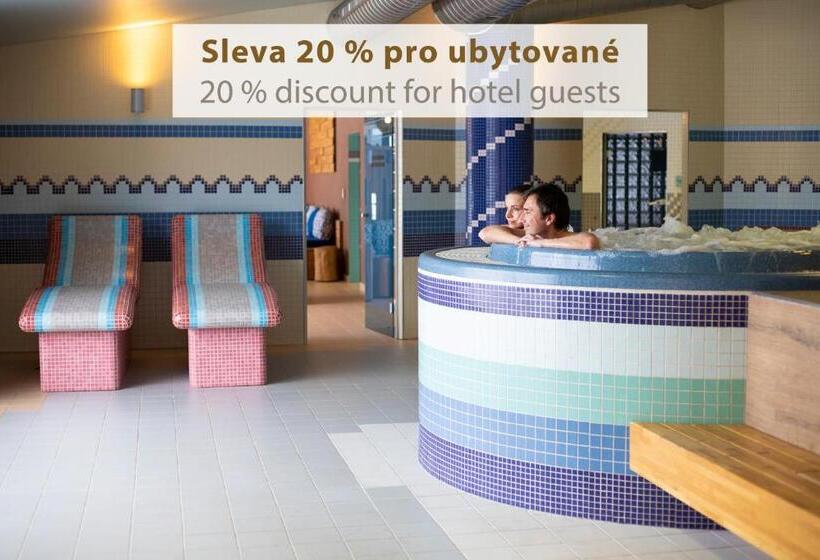 דירת חדר, Amenity Hotel & Resort Lipno