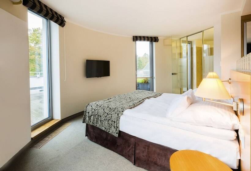 디럭스 스위트, Amenity Hotel & Resort Lipno
