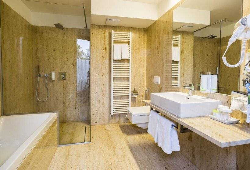 סוויטה דלוקס, Amenity Hotel & Resort Lipno