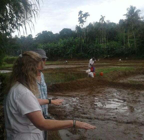 标准间, Eco Villa   Sinharaja
