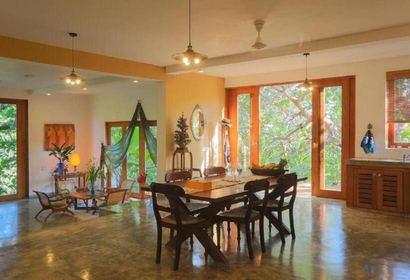 Бунгало Стандарт, Highland Villa