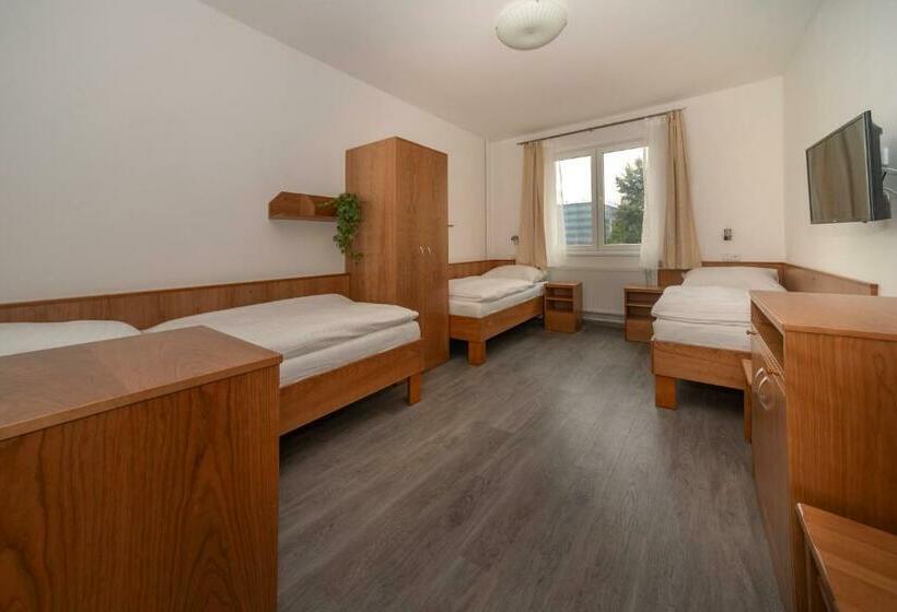 חדר סטנדרט לשלושה, Panský Dům