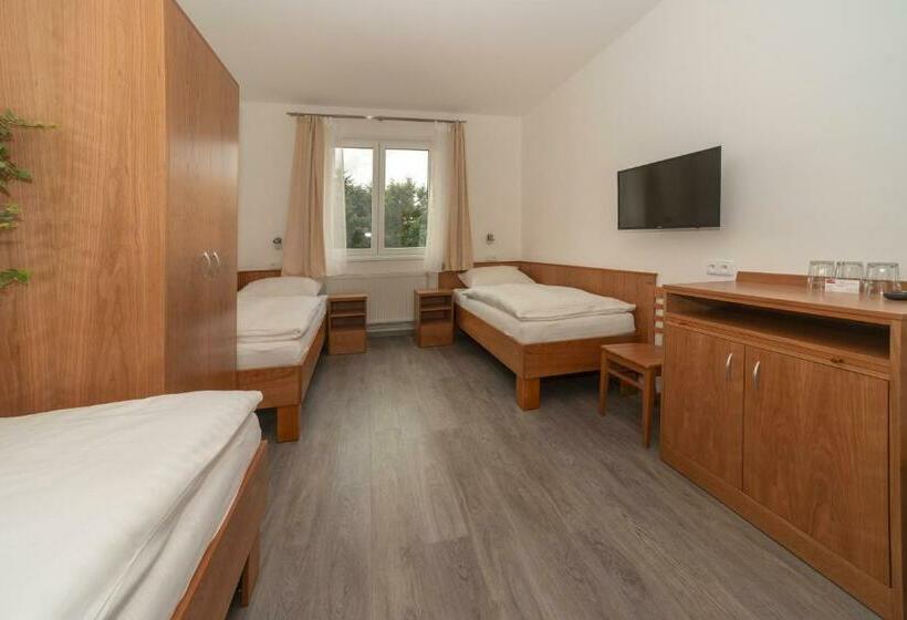 חדר סטנדרט לשלושה, Panský Dům