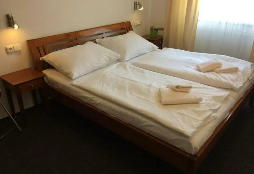 Standard-huone, Panský Dům