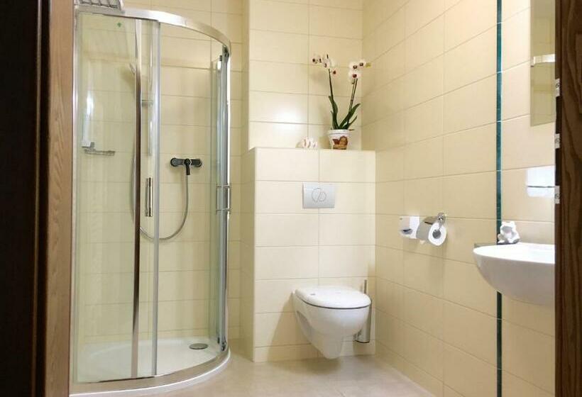 غرفة قياسية فردية, Parkhotel Forest