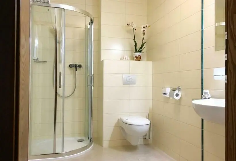 اتاق استاندارد یک نفره, Parkhotel Forest
