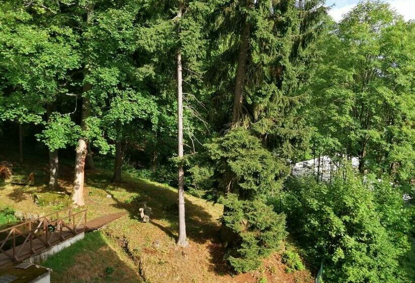 غرفة قياسية, Parkhotel Forest