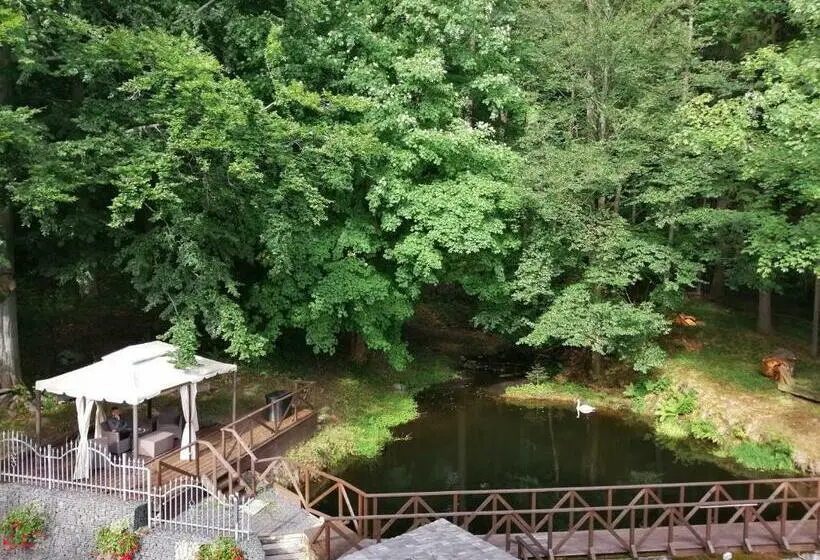 اتاق استاندارد, Parkhotel Forest
