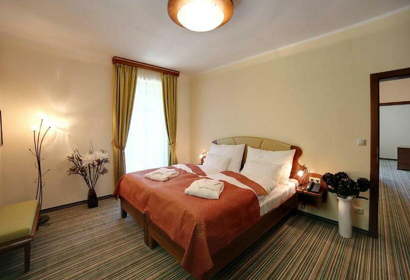 غرفة قياسية, Parkhotel Forest