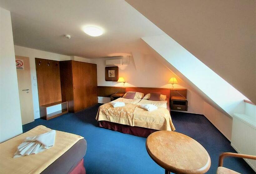 Трехместный Номер Комфорт, Restaurant Na Statku