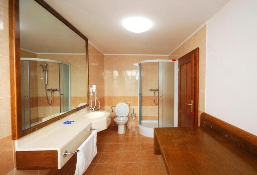 Номер Стандарт Трехместный, Restaurant Na Statku