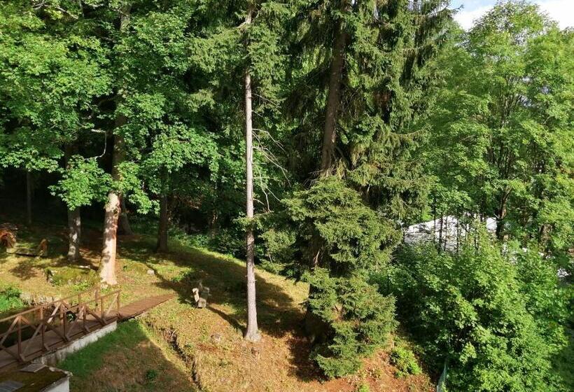 غرفة قياسية فردية, Parkhotel Forest