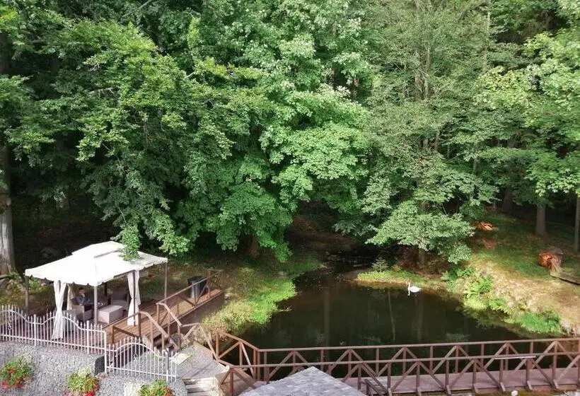 اتاق استاندارد یک نفره, Parkhotel Forest