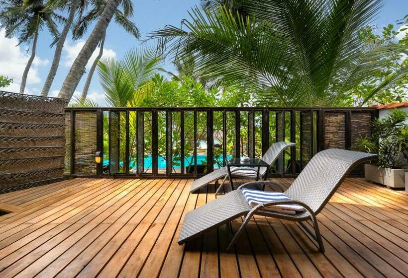 بانگلوی استاندارد با چشمانداز دریا, Seven Turtles