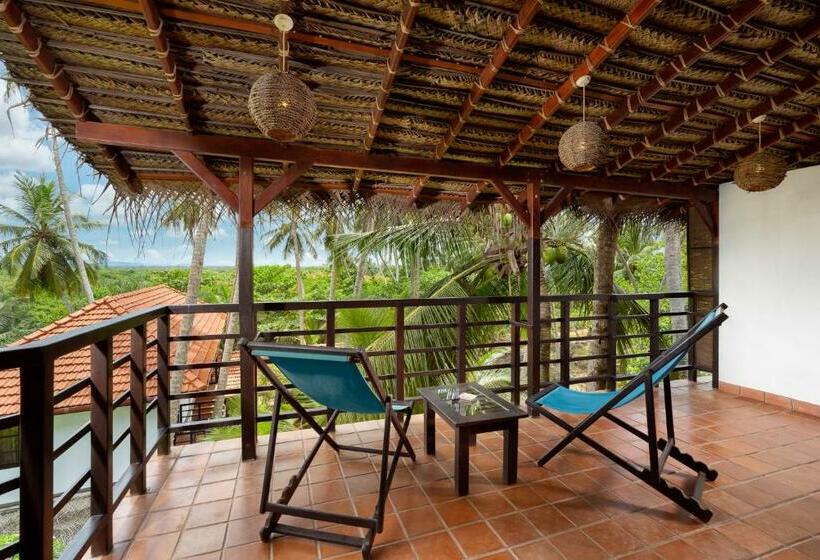 اتاق استاندارد با چشمانداز باغ, Seven Turtles