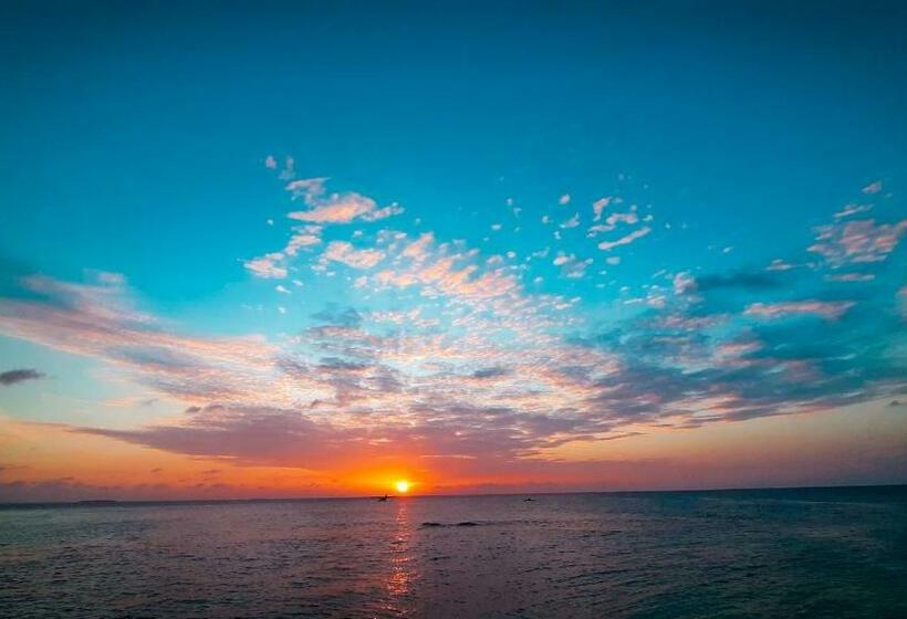 חדר בסיסי, The Spring Holiday