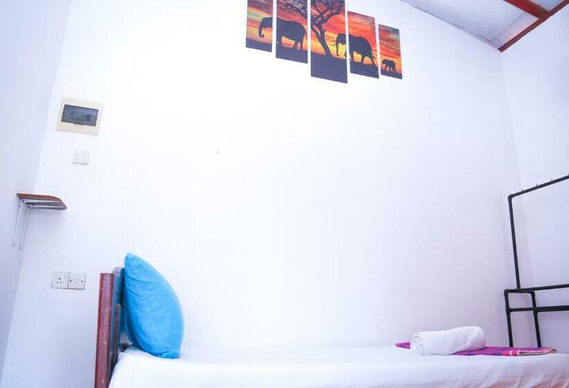 חדר בסיסי, The Spring Holiday