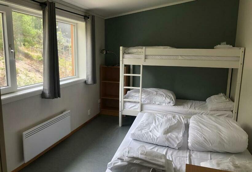 إستوديو قياسى, Ansgar Summer