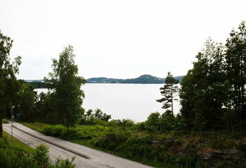 إستوديو قياسى, Ansgar Summer