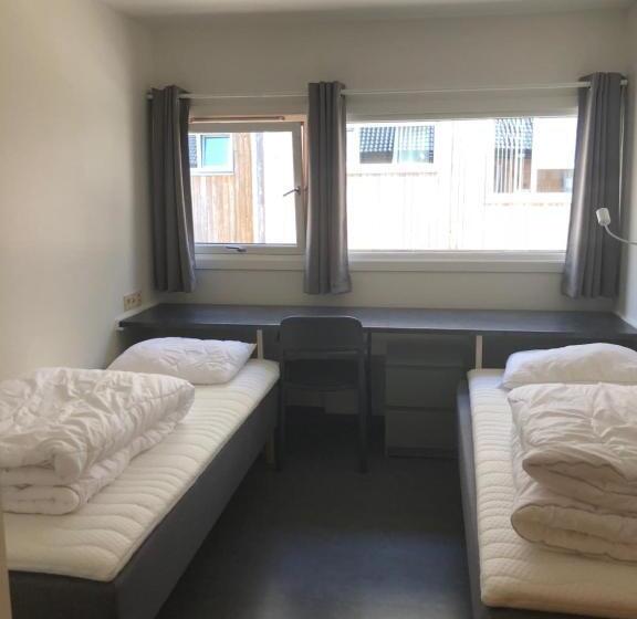 شقة 3 غرف, Ansgar Summer