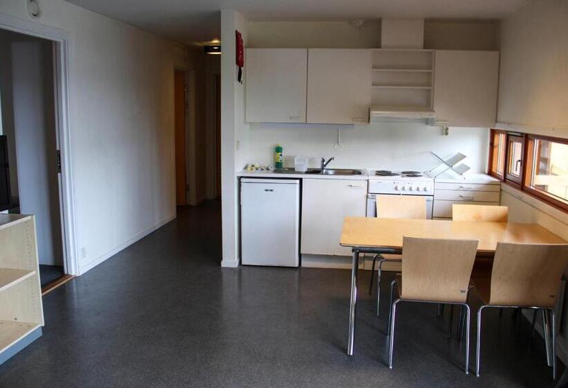 شقة 3 غرف, Ansgar Summer