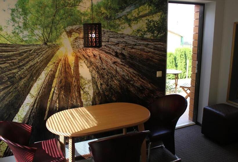 استودیوی استاندارد, Broliu Vila