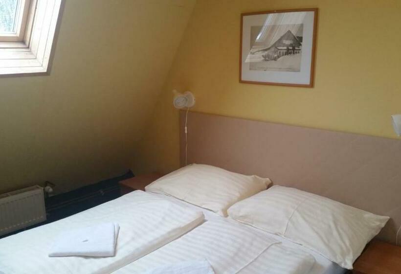 기본룸, Parkhotel Harrachov
