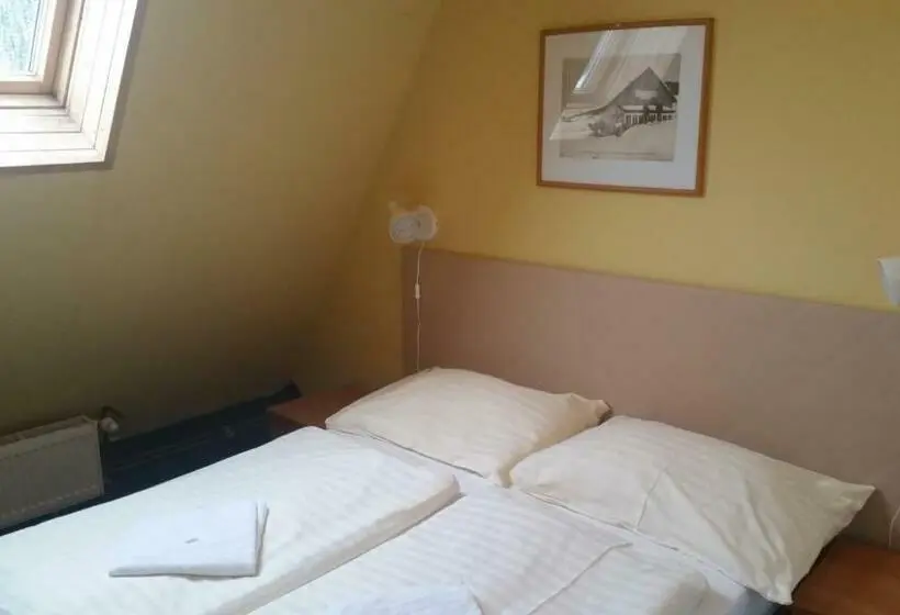 اتاق عادی, Parkhotel Harrachov