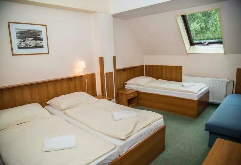 اتاق استاندارد سه نفره, Parkhotel Harrachov