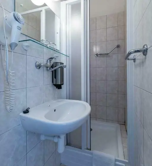 اتاق عادی, Parkhotel Harrachov