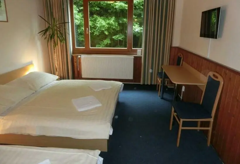 اتاق استاندارد سه نفره, Parkhotel Harrachov