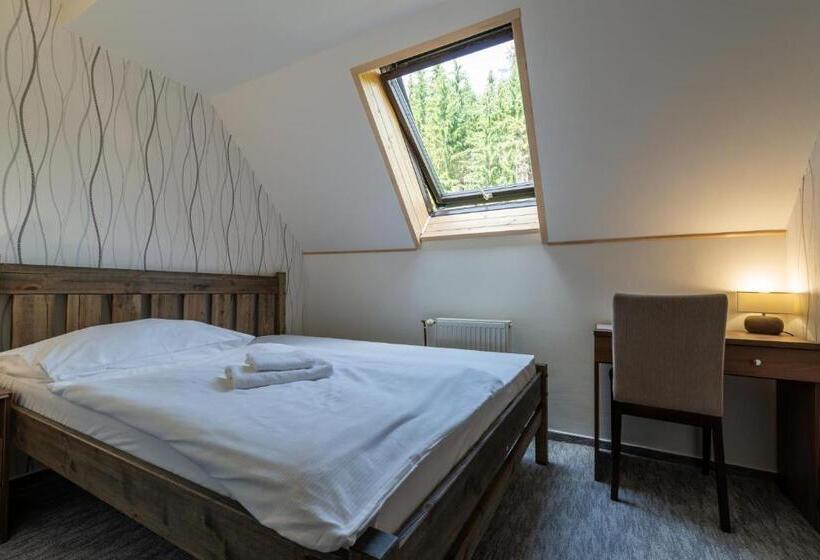 기본룸, Parkhotel Harrachov