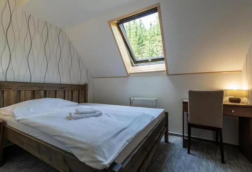 اتاق عادی, Parkhotel Harrachov