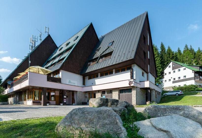 발코니가 있는 4인용 스탠다드 룸, Parkhotel Harrachov