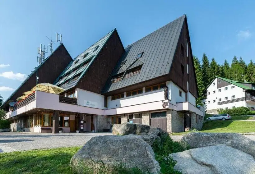 اتاق استاندارد چهارنفره با بالکن, Parkhotel Harrachov