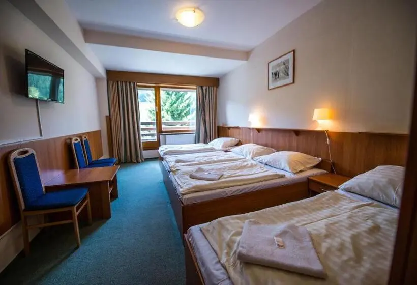 اتاق استاندارد چهارنفره با بالکن, Parkhotel Harrachov