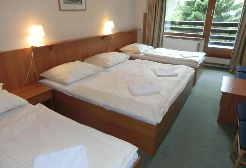 اتاق استاندارد چهارنفره با بالکن, Parkhotel Harrachov