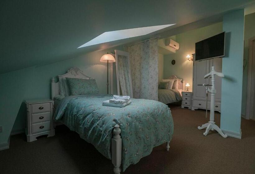 Habitaci�n Est�ndar Abuhardillada, Roze Villa